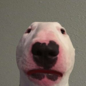 Meet your Posher, Scott